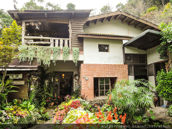 [吃喝]寄情於山野間的閒雲野鶴～山行玫瑰。