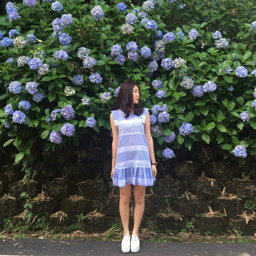 20160625苗栗繡球花_5742