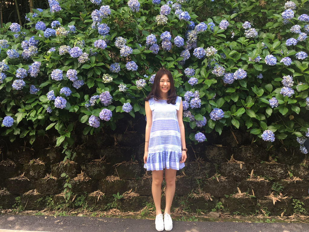 20160625苗栗繡球花_4203