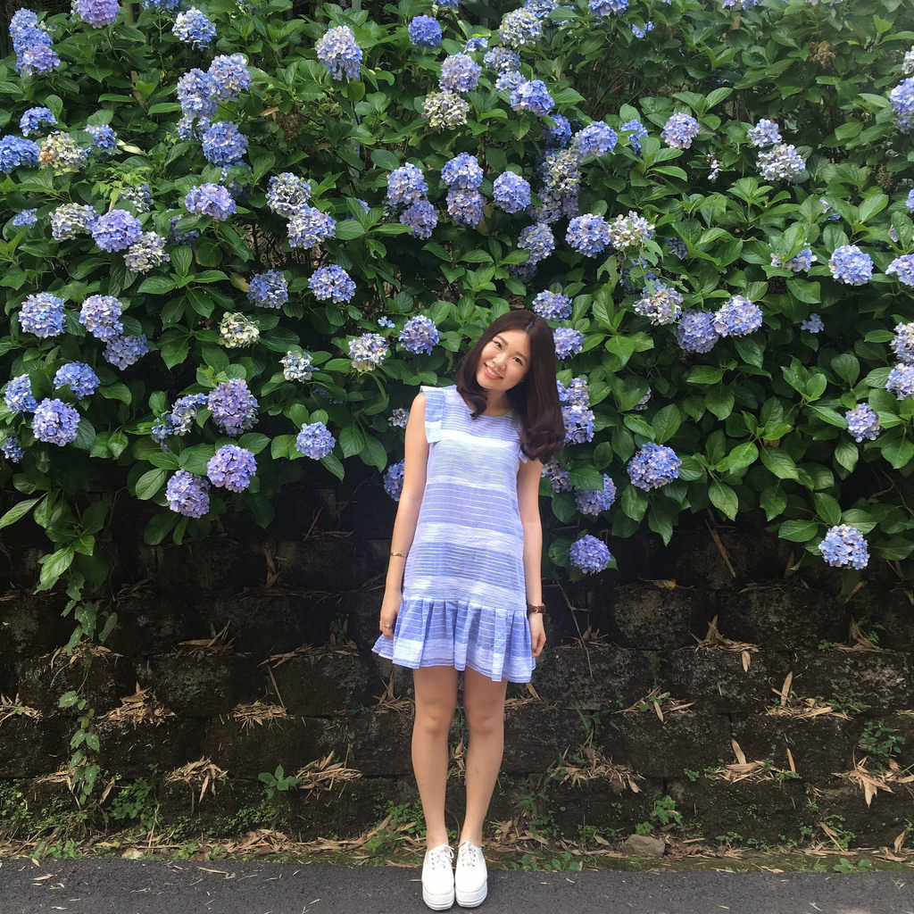 20160625苗栗繡球花_9230