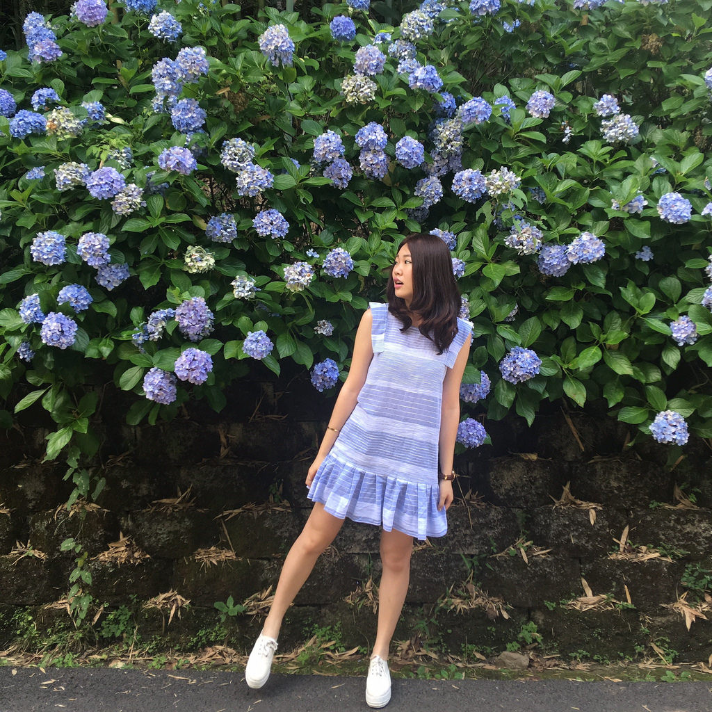 20160625苗栗繡球花_5638