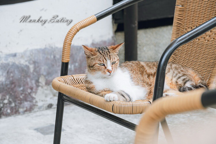 【苗栗美食】南庄抹茶冰|日式建築復古冰店,煉乳抹茶紅豆冰香濃好吃,只賣兩樣生意超好! - 貪吃猴的幻想