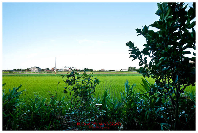 宜蘭民宿│輕塵別院~住在田中央,簡單又美好的品味旅宿
