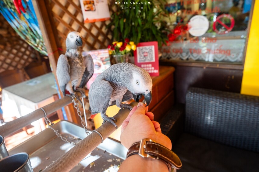 汐止隱藏版越南料理老店！700坪花園景觀「銘記越南美食」，越南火鍋必吃。