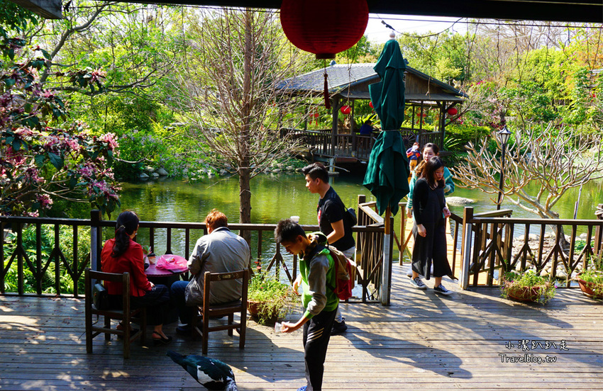 台中沙鹿景點》人間食解景觀餐廳 古色古香渡假小村落！落雨松秘境.下午茶.情侶約會.家庭聚餐好去處~ - 小潔趴趴走旅遊札記