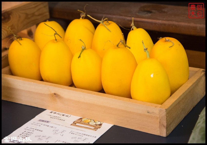 雲林輕旅行 | 大同醬油黑金釀造館×蜜蜂故事館×綠色隧道×自家莊園×貝克翰農場/雲遊3林/一日遊