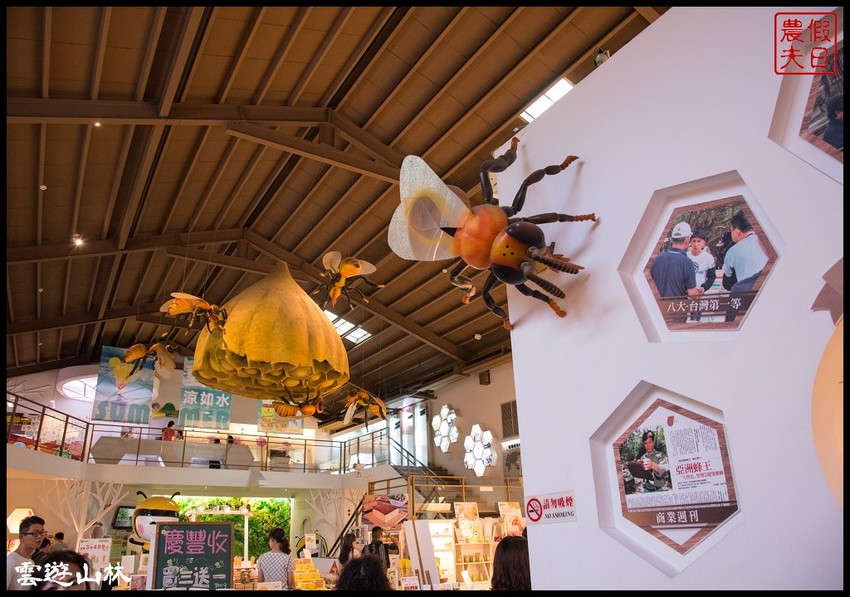 雲林輕旅行 | 大同醬油黑金釀造館×蜜蜂故事館×綠色隧道×自家莊園×貝克翰農場/雲遊3林/一日遊