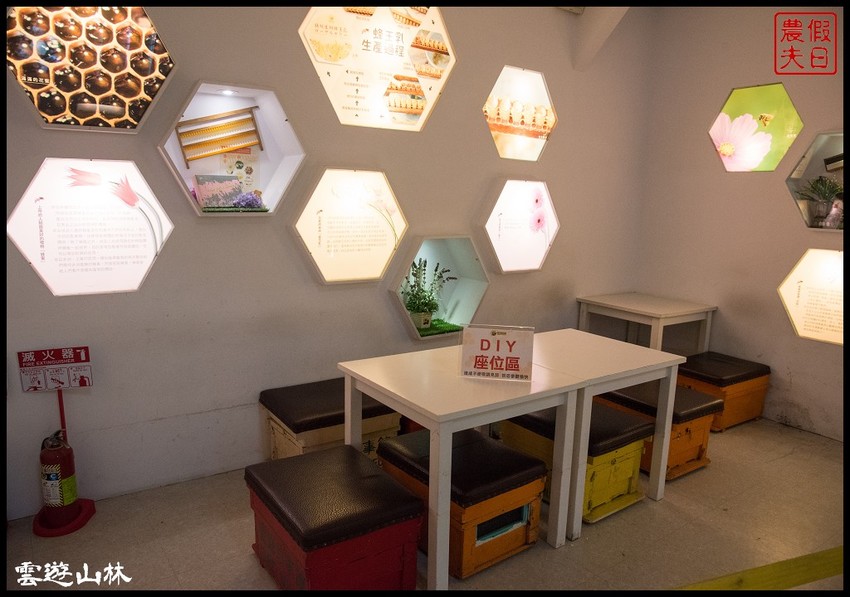 雲林輕旅行 | 大同醬油黑金釀造館×蜜蜂故事館×綠色隧道×自家莊園×貝克翰農場/雲遊3林/一日遊