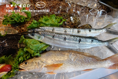 《台中》沙鹿梅子餐厅～食材新鲜又颠覆传统的特色海鲜料理
