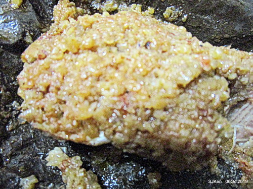 Tradtional seafood of Chinese dishses booth, Nangmeng market, Taipei, Taiwan, SKen, Oct 6, 2019