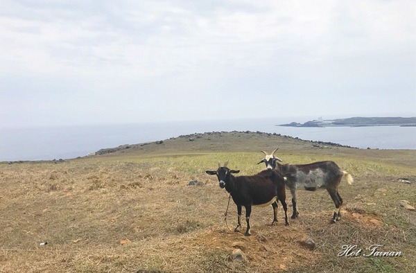 雙心石滬：【澎湖景點】七美望安網美IG打卡景點！跟著我們一起這樣拍~