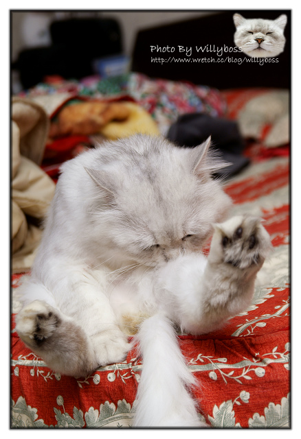 雲泰館(桃園平鎮)