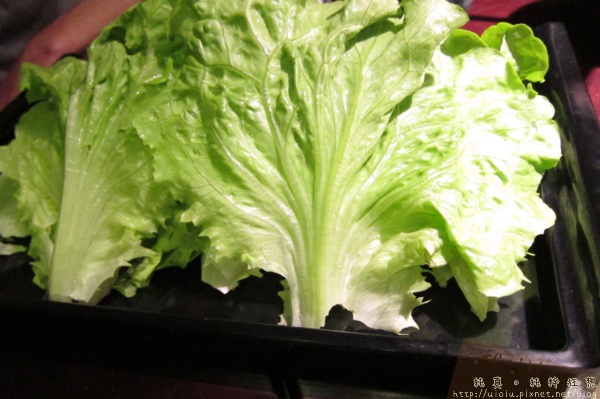 120118竹北無老鍋37.JPG 120118竹北無老鍋37.JPG