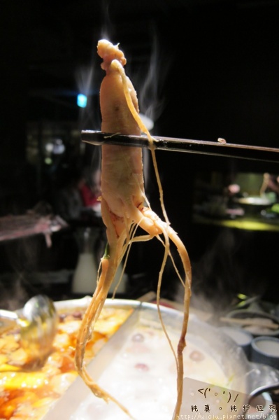 120118竹北無老鍋41.JPG 120118竹北無老鍋41.JPG