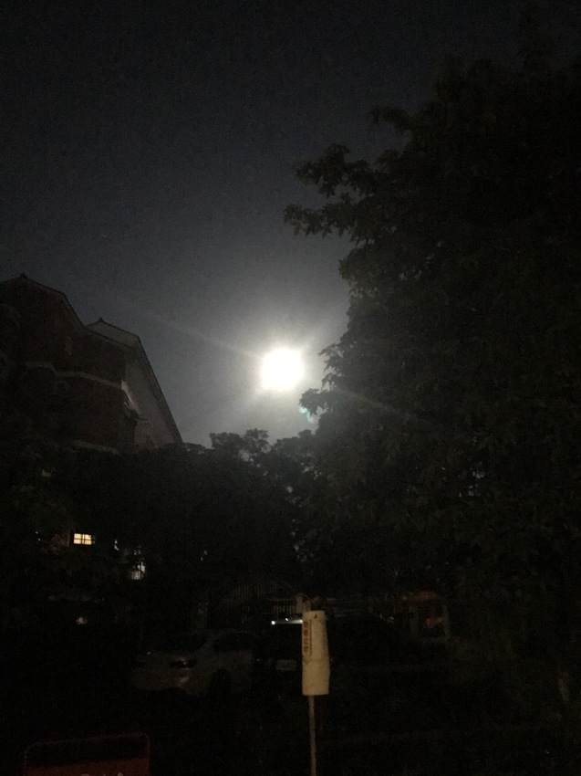 糧園茶藝客家小館~ 不可錯過的客家美食