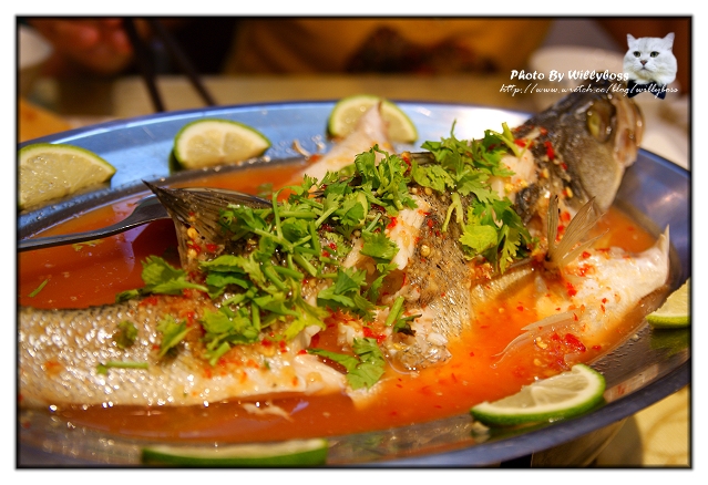 青木瓜泰式主題餐廳(桃園龍潭)