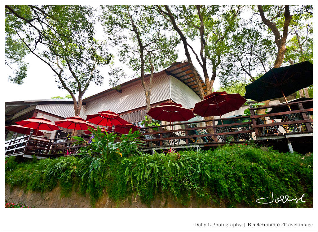 通霄│上田咖啡休閒莊園‧一杯咖啡坐擁山林