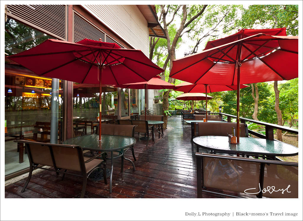 通霄│上田咖啡休閒莊園‧一杯咖啡坐擁山林