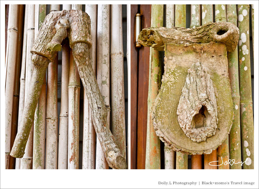 通霄│上田咖啡休閒莊園‧一杯咖啡坐擁山林