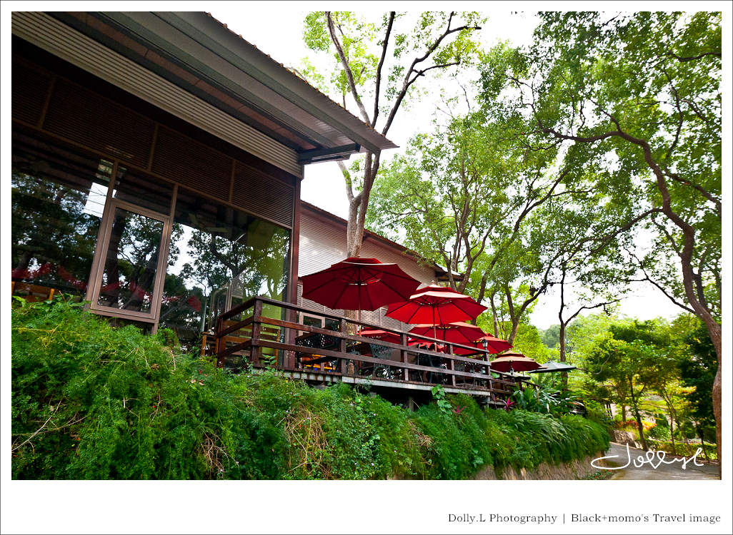 通霄│上田咖啡休閒莊園‧一杯咖啡坐擁山林