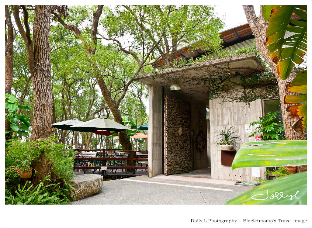 通霄│上田咖啡休閒莊園‧一杯咖啡坐擁山林