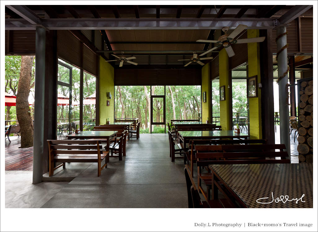 通霄│上田咖啡休閒莊園‧一杯咖啡坐擁山林