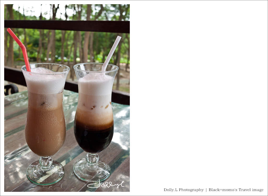 通霄│上田咖啡休閒莊園‧一杯咖啡坐擁山林