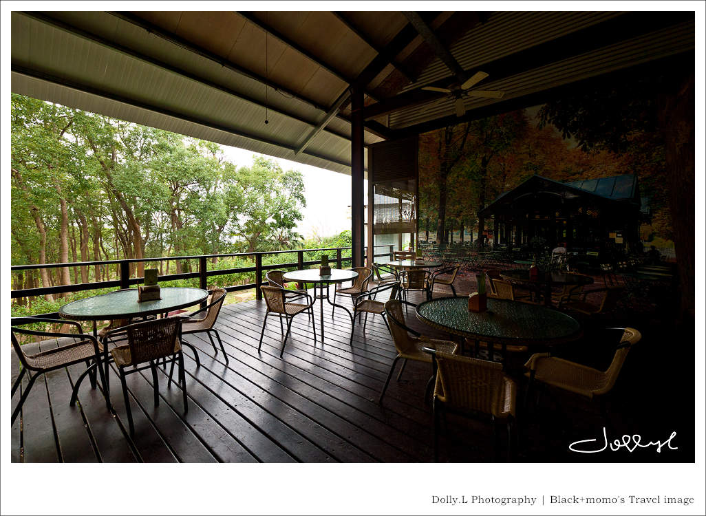 通霄│上田咖啡休閒莊園‧一杯咖啡坐擁山林