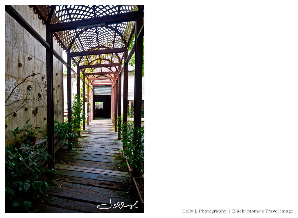 通霄│上田咖啡休閒莊園‧一杯咖啡坐擁山林