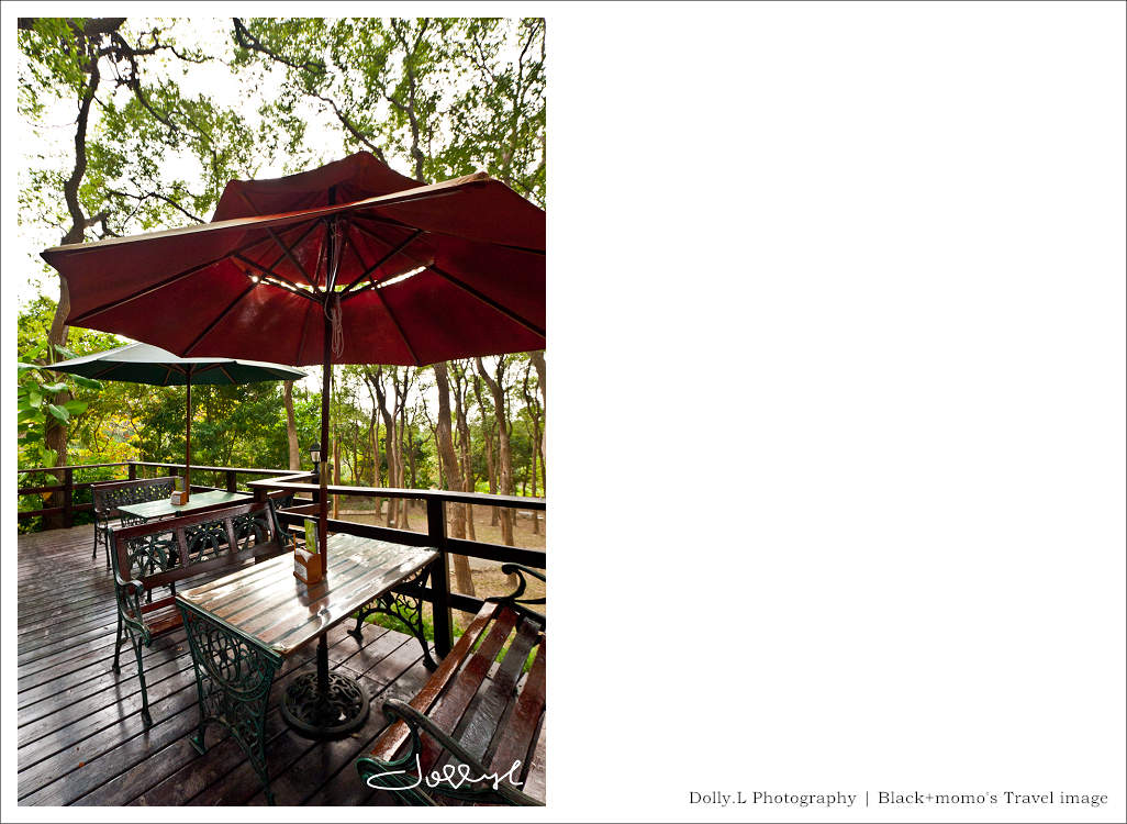 通霄│上田咖啡休閒莊園‧一杯咖啡坐擁山林