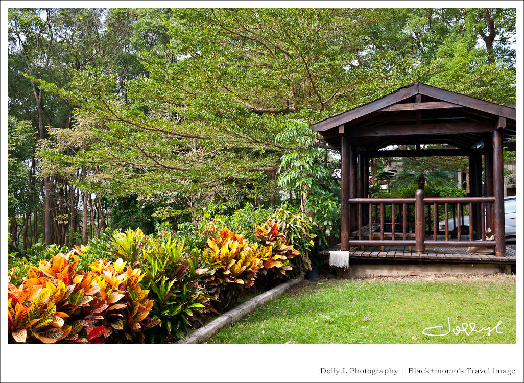 通霄│上田咖啡休閒莊園‧一杯咖啡坐擁山林
