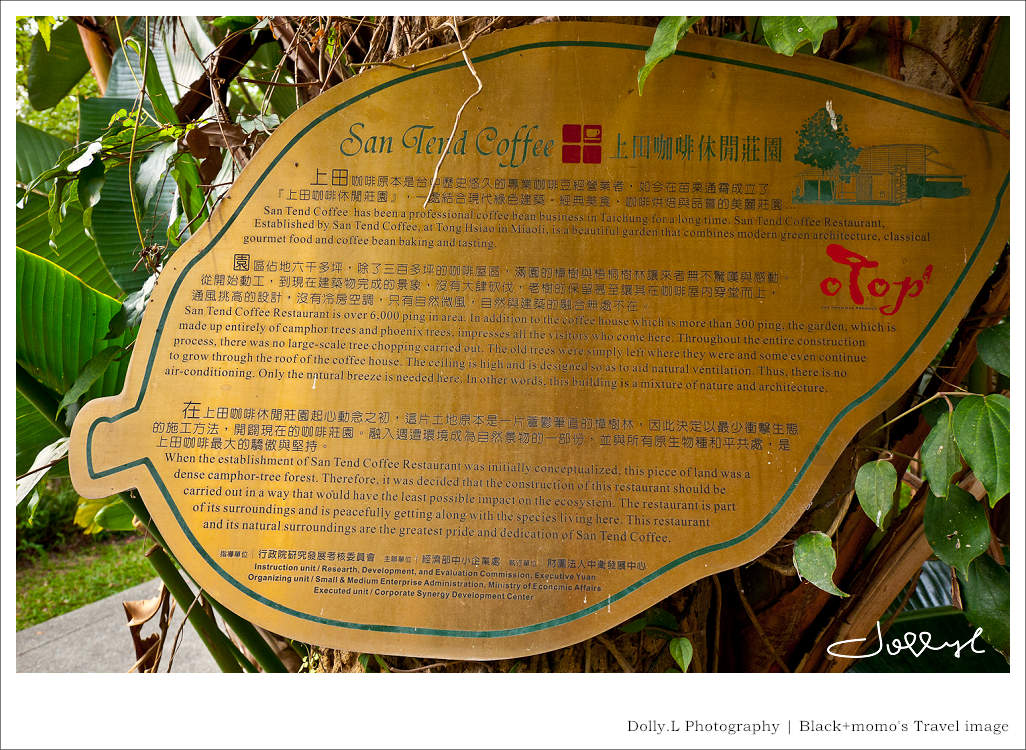 通霄│上田咖啡休閒莊園‧一杯咖啡坐擁山林
