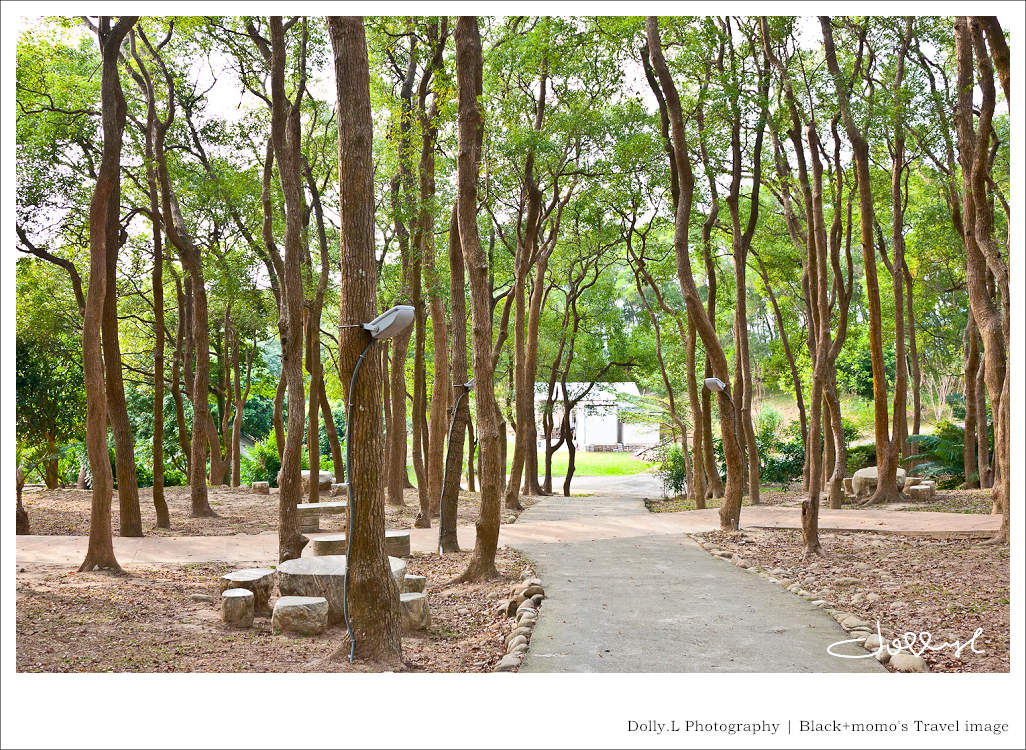 通霄│上田咖啡休閒莊園‧一杯咖啡坐擁山林