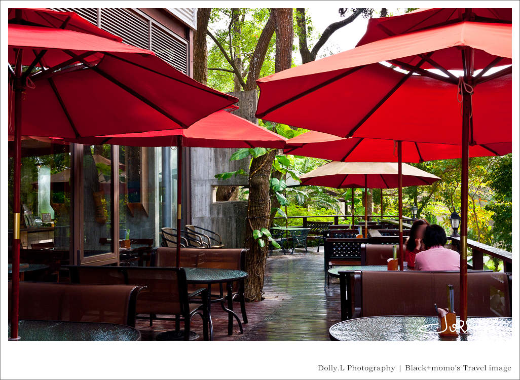 通霄│上田咖啡休閒莊園‧一杯咖啡坐擁山林