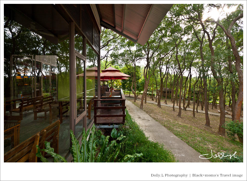 通霄│上田咖啡休閒莊園‧一杯咖啡坐擁山林