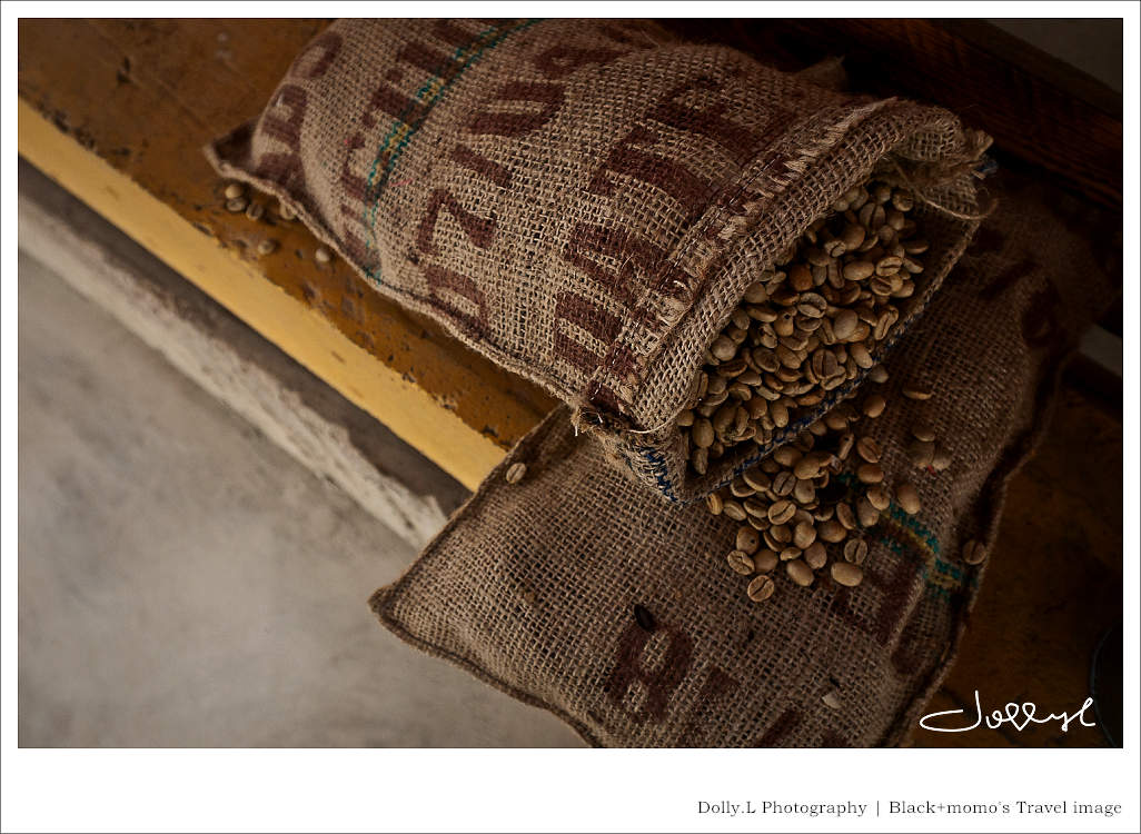 通霄│上田咖啡休閒莊園‧一杯咖啡坐擁山林