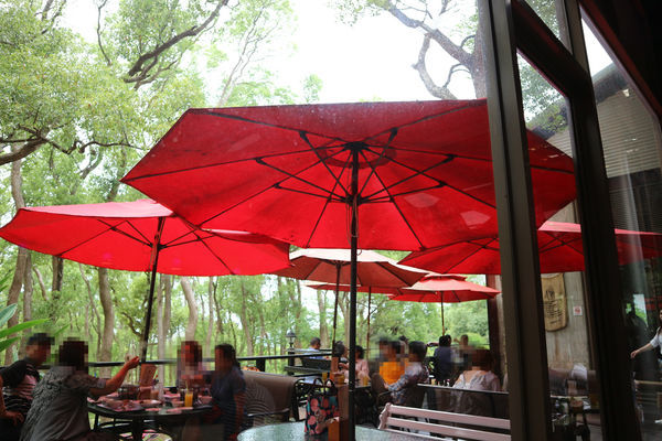 IMG_6834.JPG IMG_6834.JPG