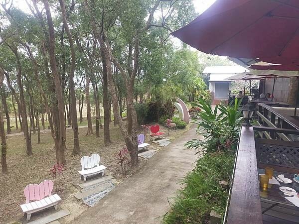 苗栗通霄上田咖啡休閒莊園~滿園莊園樟樹~白沙屯拱天宮~