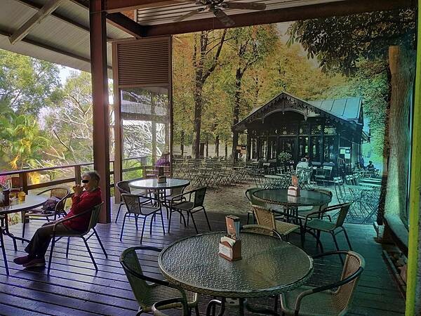 苗栗通霄上田咖啡休閒莊園~滿園莊園樟樹~白沙屯拱天宮~