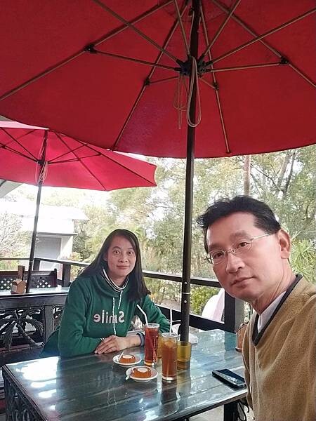 苗栗通霄上田咖啡休閒莊園~滿園莊園樟樹~白沙屯拱天宮~