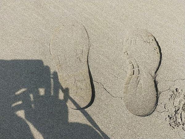 苗栗通霄上田咖啡休閒莊園~滿園莊園樟樹~白沙屯拱天宮~