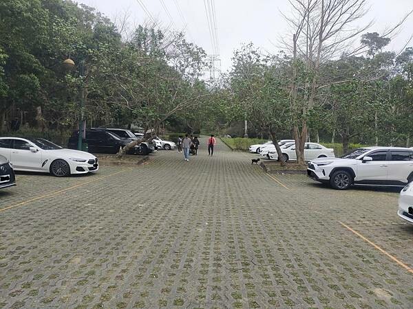 苗栗通霄上田咖啡休閒莊園~滿園莊園樟樹~白沙屯拱天宮~