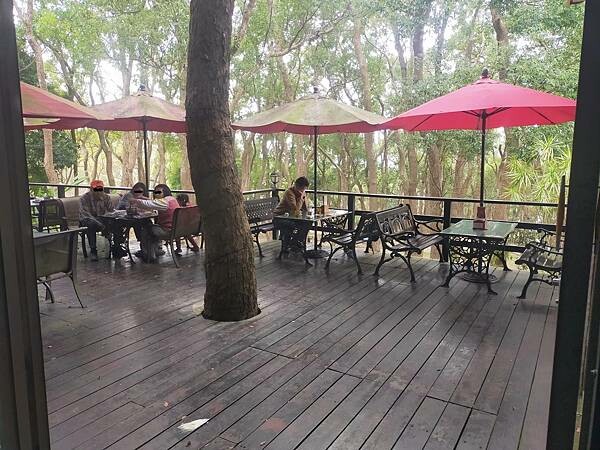 苗栗通霄上田咖啡休閒莊園~滿園莊園樟樹~白沙屯拱天宮~