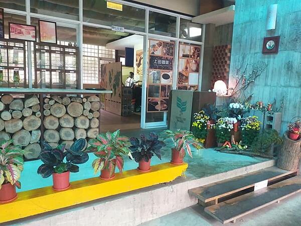 苗栗通霄上田咖啡休閒莊園~滿園莊園樟樹~白沙屯拱天宮~