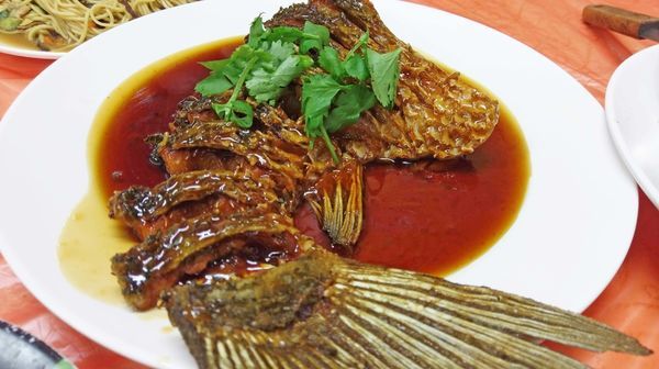 【龍潭美食】南園活魚餐廳-沒有預約可能會吃不到的活魚料理