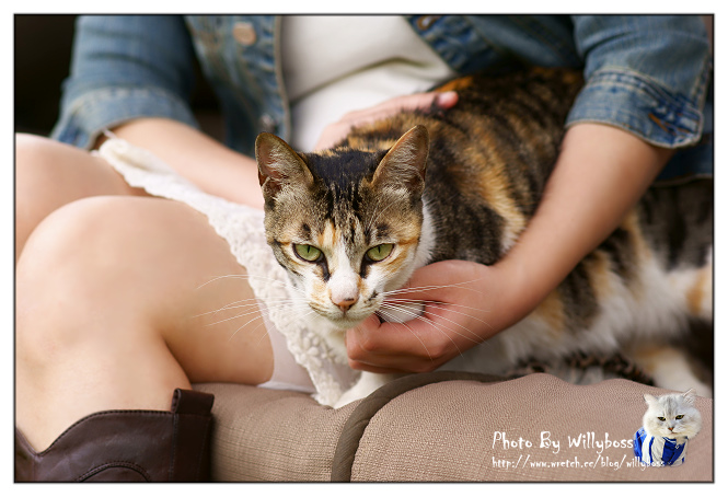 Roadies美式主題餐廳(桃園龍潭)