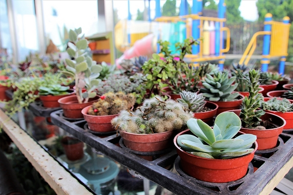 白圍牆地中海景觀咖啡:【桃園龍潭景點】白圍牆地中海景觀餐廳~唯美浪漫的地中海希臘風格,魔術表演,氣氛沸騰,同學會或家庭團聚最佳選擇