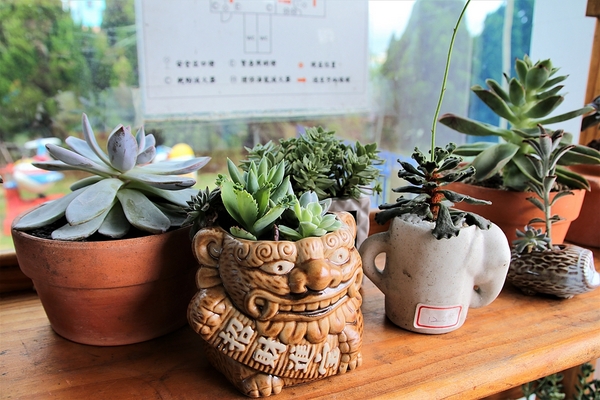 白圍牆地中海景觀咖啡:【桃園龍潭景點】白圍牆地中海景觀餐廳~唯美浪漫的地中海希臘風格,魔術表演,氣氛沸騰,同學會或家庭團聚最佳選擇