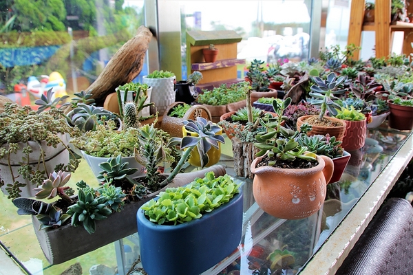 白圍牆地中海景觀咖啡:【桃園龍潭景點】白圍牆地中海景觀餐廳~唯美浪漫的地中海希臘風格,魔術表演,氣氛沸騰,同學會或家庭團聚最佳選擇