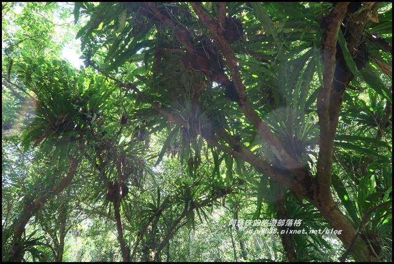 林美石磐步道28.JPG